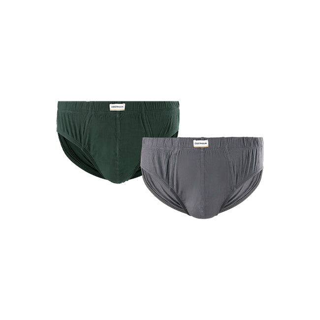 Pmtsp2 Cv Brief In Grey S