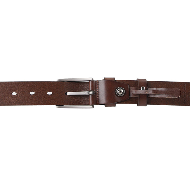 Grey Casual Belt In Dark Brown
