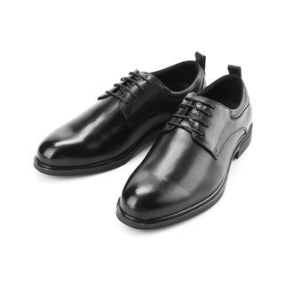 Alvis Kentino Lace Up in Brushed leather