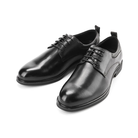 Alvis Kentino Lace Up in Brushed leather