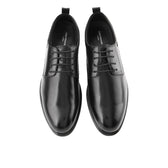 Alvis Kentino Lace Up in Brushed leather