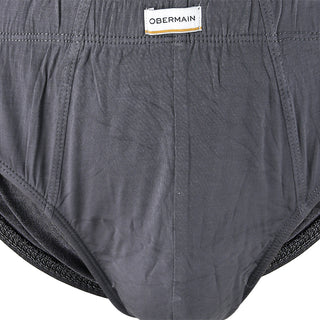 Pmtsp2 Cv Brief In Grey S