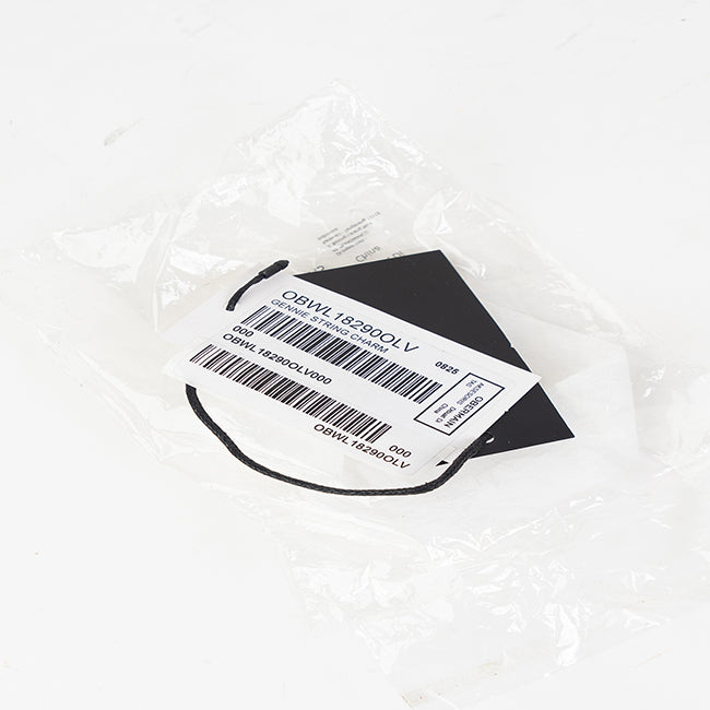 Gennie String Charm