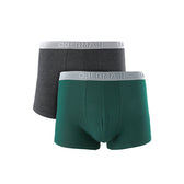 Knit Boxer B